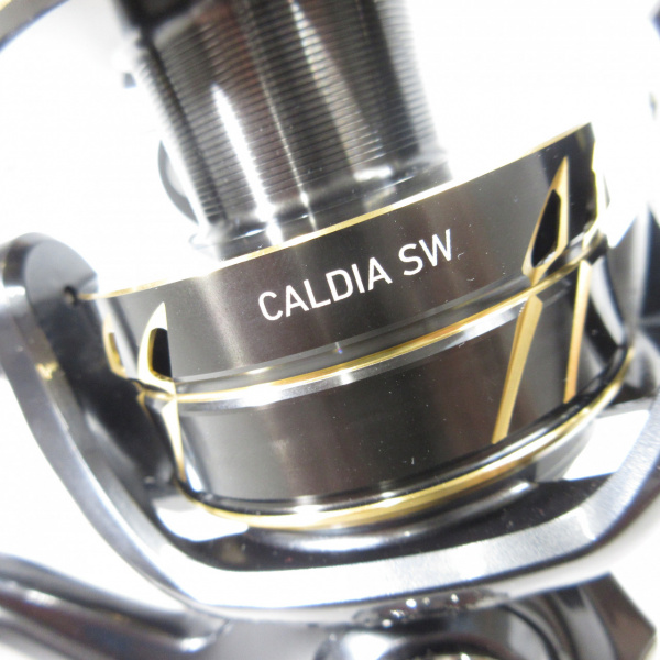 22カルディアSW 10000-P